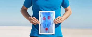 How to Search For the Best Urology Cancer Doctor in Jaipur? 