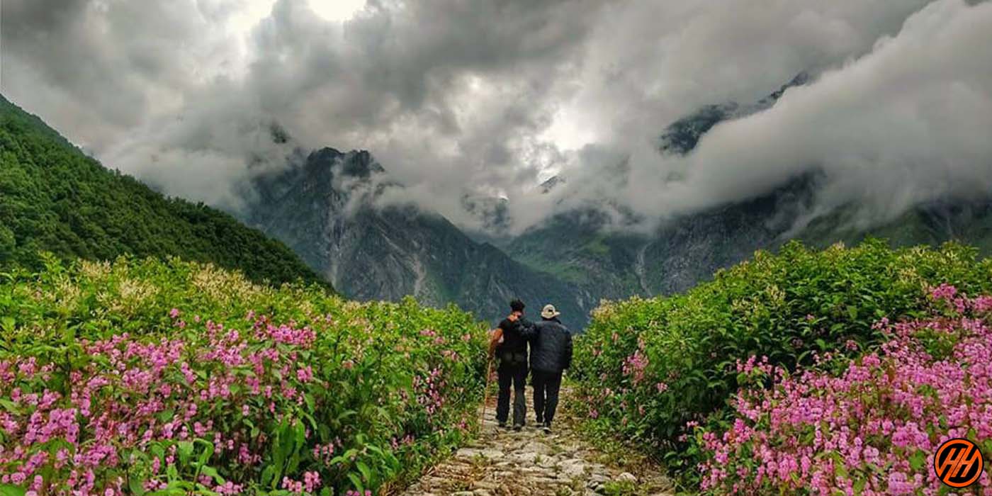 In the West Himalayan, Uttarakhand: The Nation Park Of Flowers