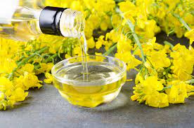 WHY CANOLA OIL IS BETTER FOR YOUR BODY THAN NOT