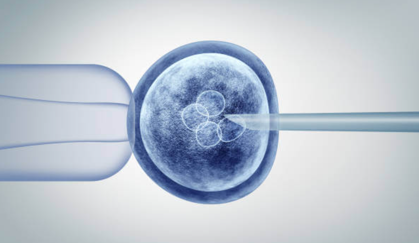 Stem Cells Treatment in Dubai: Revolutionizing Healing and Rejuvenation