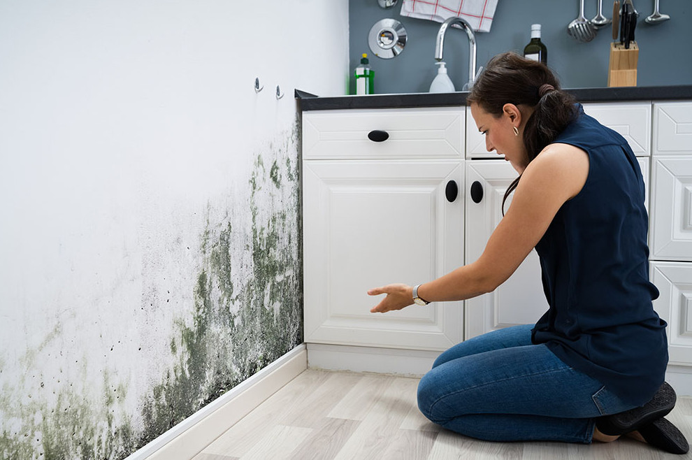 The Health Costs of Housing Disrepair: What UK Tenants Must Know
