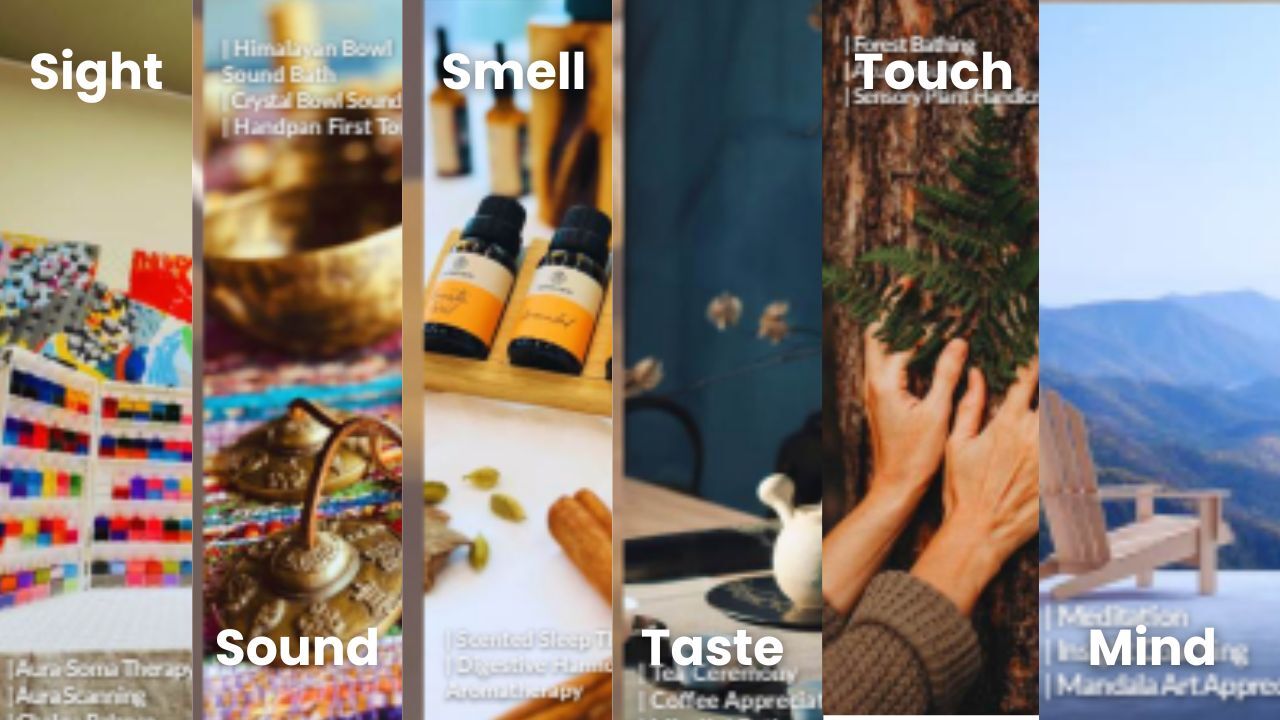 Six-Pillar Corporate Wellness Program Singapore Companies Are Adopting in 2026 for Better Employee Health