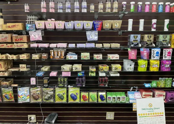 Transforming Your Evenings with the Art of Traditional and Modern Shisha