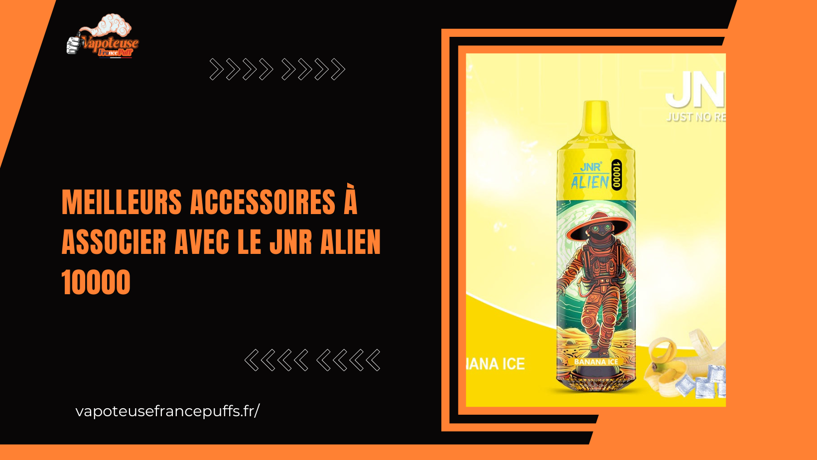 Meilleurs Accessoires à Associer avec le JNR Alien 10000