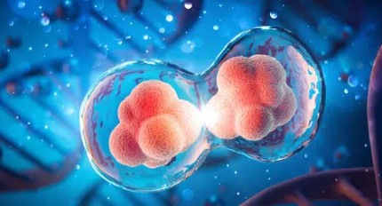 Neurovascular Integrity: Reclaiming Comfort During Winter Extremes