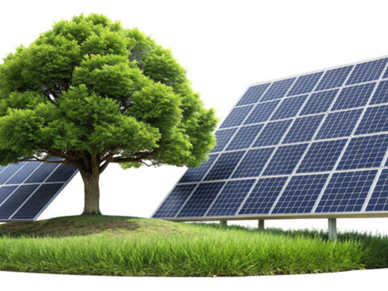 Solar Panels California Gully – Smart, Cost-Effective Solar Systems Locals Rely On