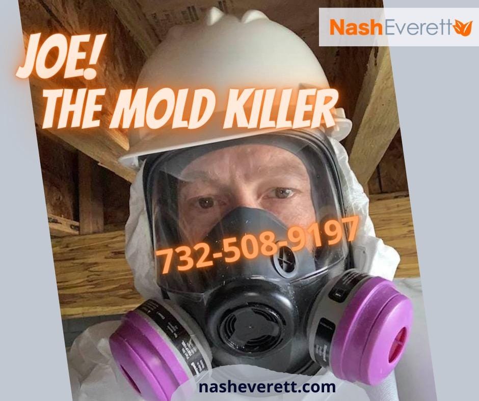 The Importance of Regular Mold Inspections for Maintaining Good Indoor Air Quality