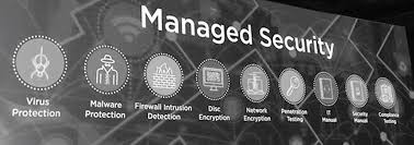 Five Security Features Professional Hosting Services Provide