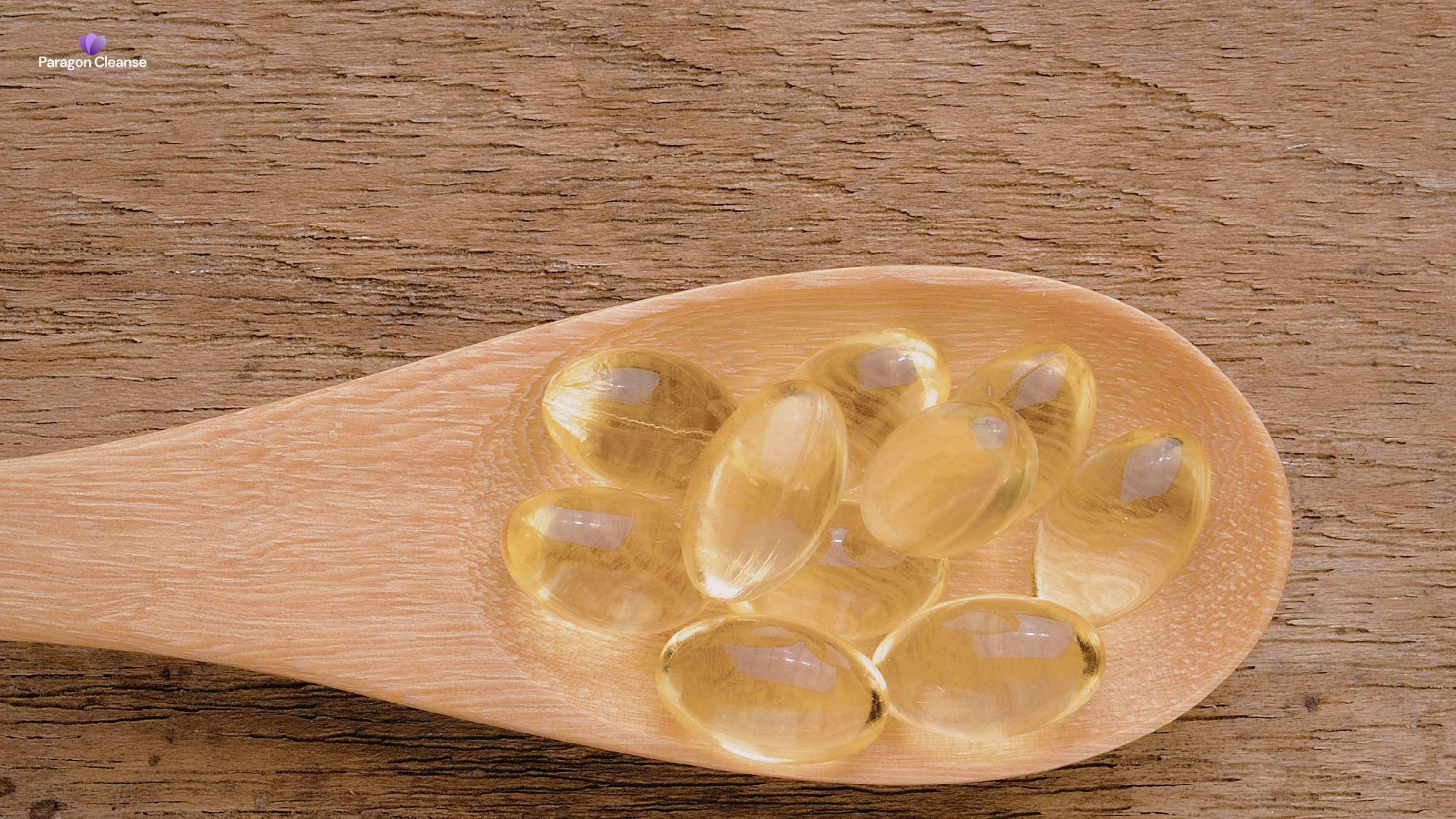 Paragon & TNM & Binder Bundle: A Complete Solution for Digestive and Internal Wellness