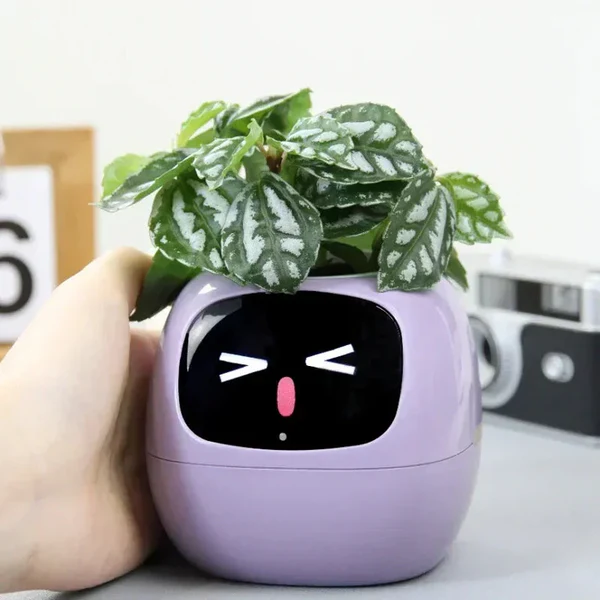 Smart Planters: The Future of Indoor Gardening