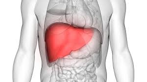 Risks and Complications of Liver Transplant in Delhi