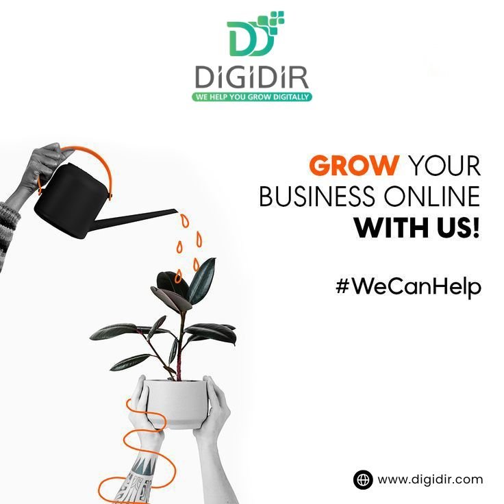 Why U.S. Businesses Are Investing in Digital Marketing in India | DigiDir