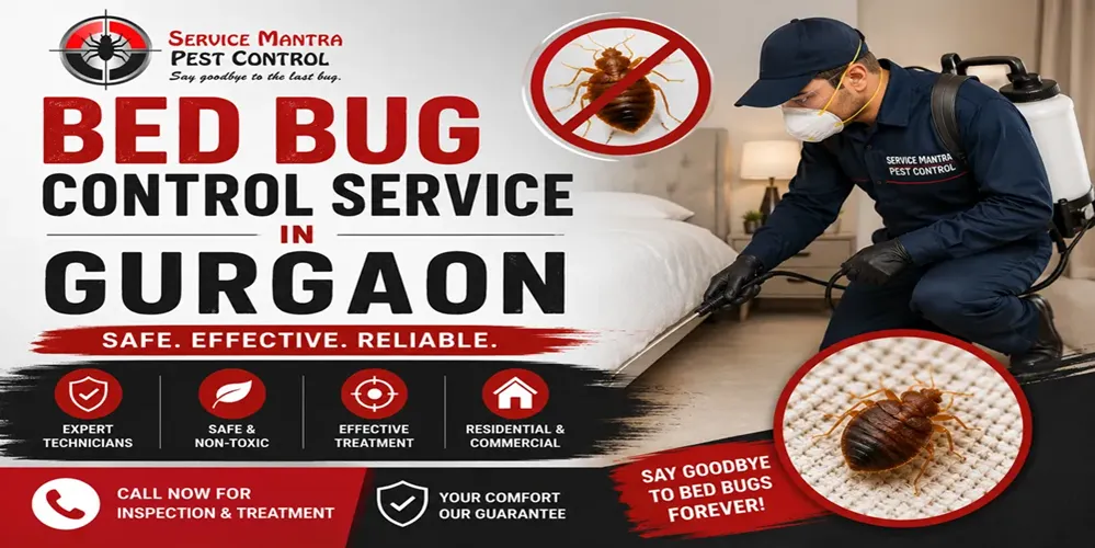 Service Mantra’s Professional Bed Bug Control Service in Gurgaon with Guaranteed Results