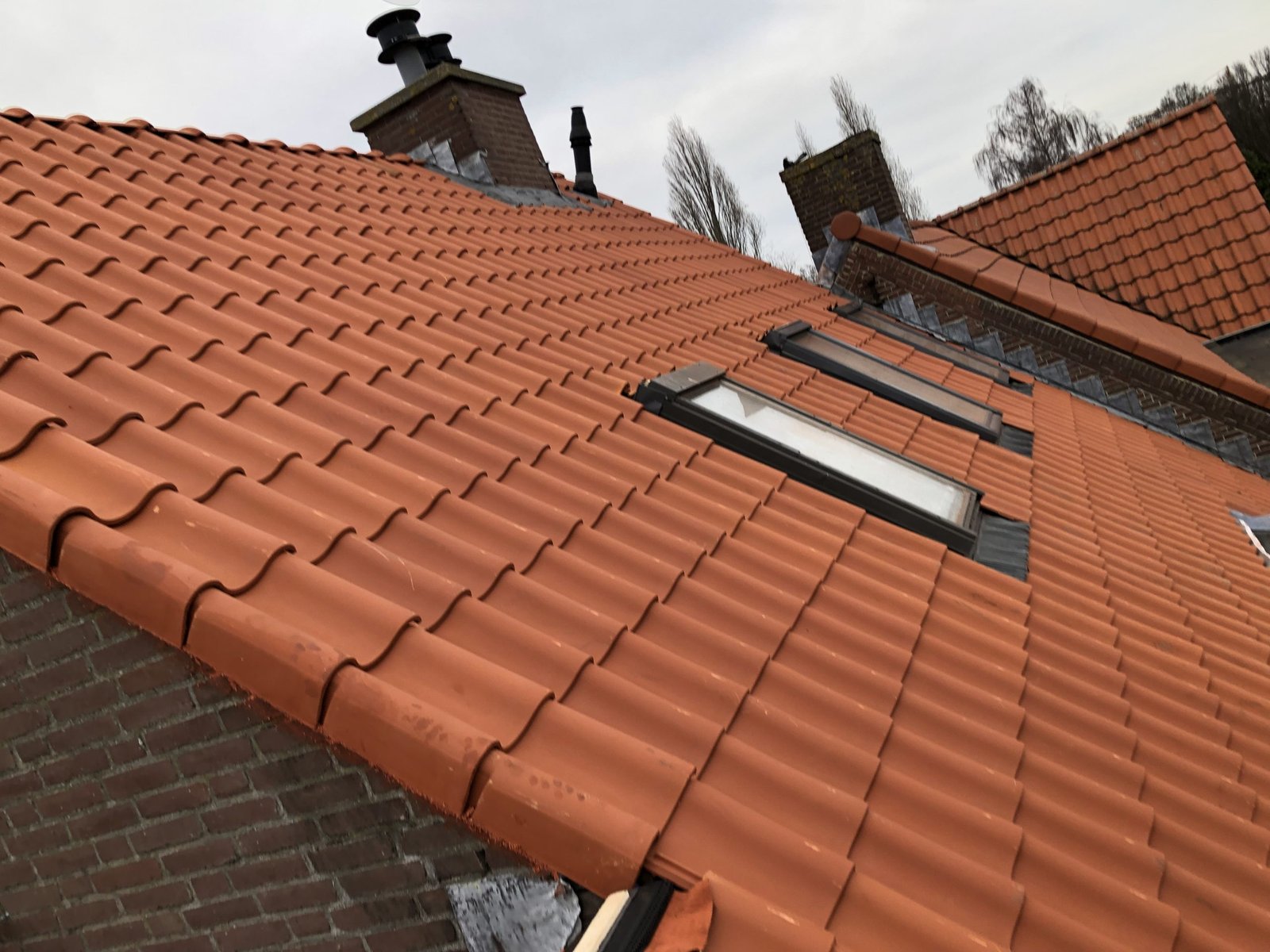 Spoedcursus Daklekkage Leiden: Direct Hulp bij Wateroverlast