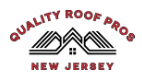 Keeping Your Pets Safe During a Major Exterior Renovation