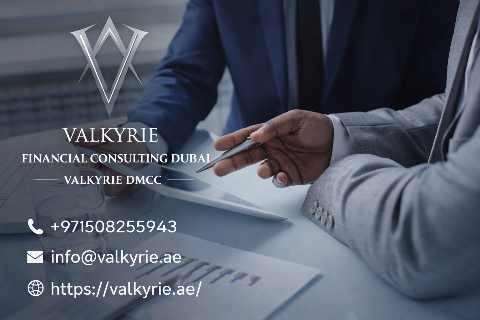 Major Roles Handled By Professional Financial Consultancy Team