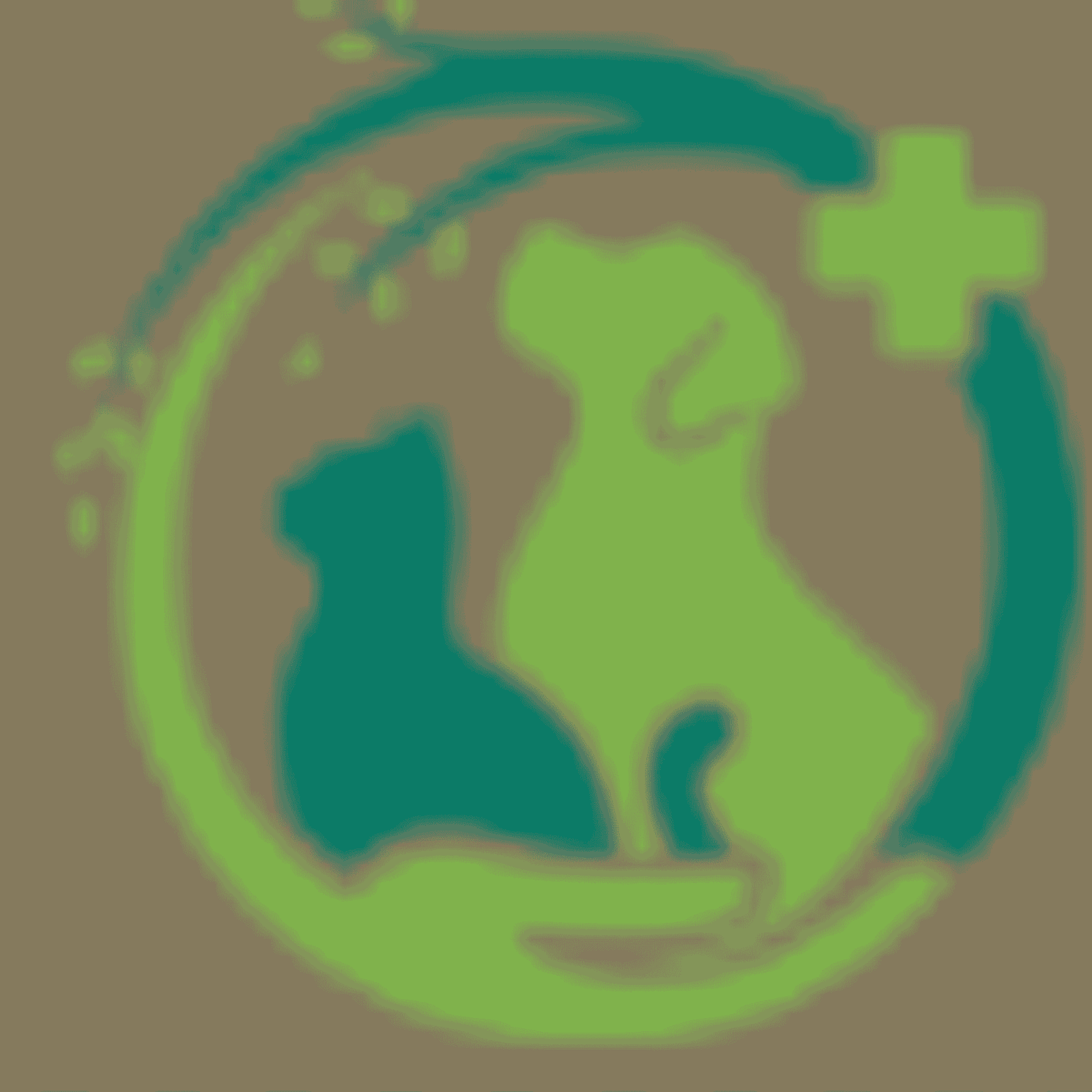 Ring Tailed Lemur Weight: Average Size, Growth, and Factors That Affect Body Weight