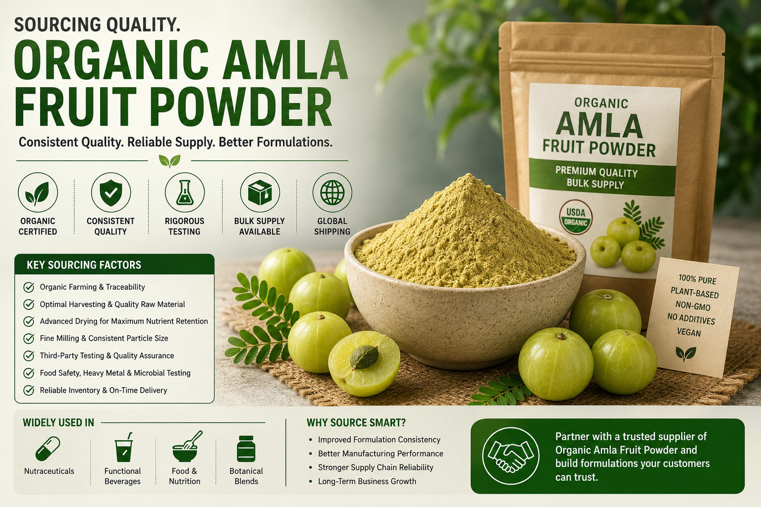 Why Organic Amla Fruit Powder Sourcing Demands More Than a Specification Sheet