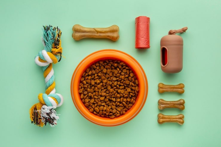 Why Swiss Pet Care Is Moving Toward Conscious Consumption