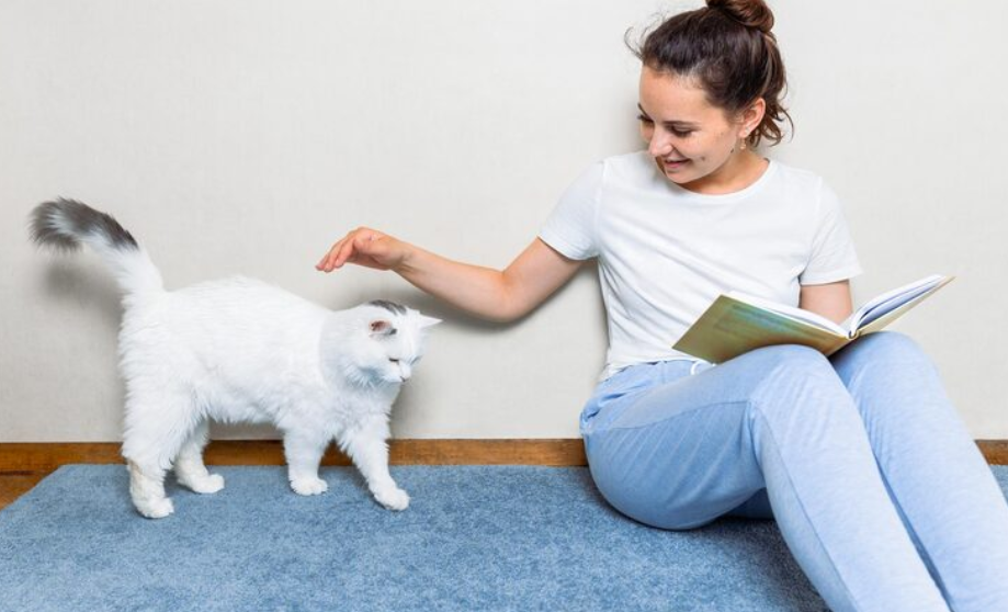 Cat Sitting Tips: How to Prepare Your Cat and Home for a Sitter