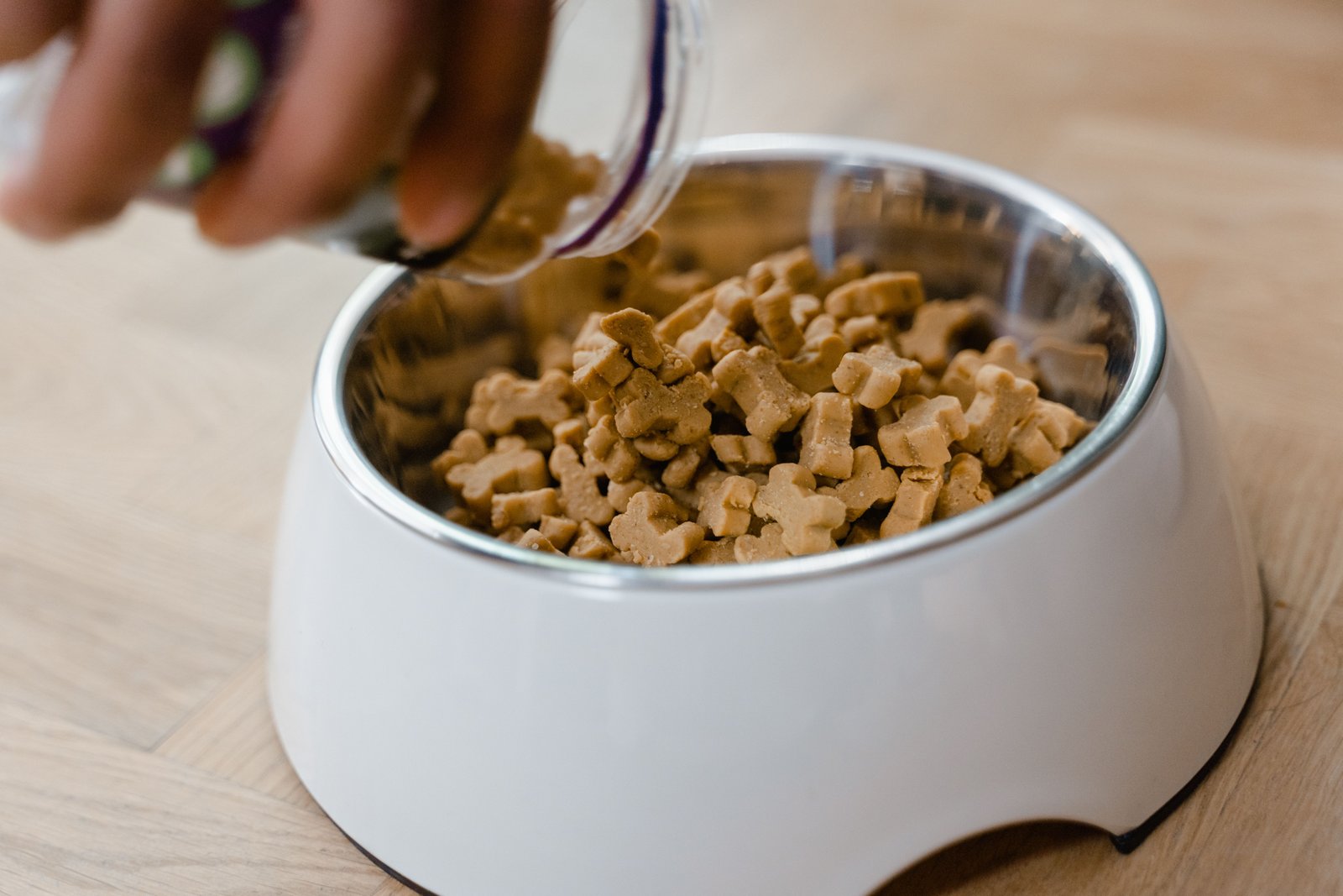 Germany Pet Nutraceuticals Market: Rising Demand for Premium Pet Health Products