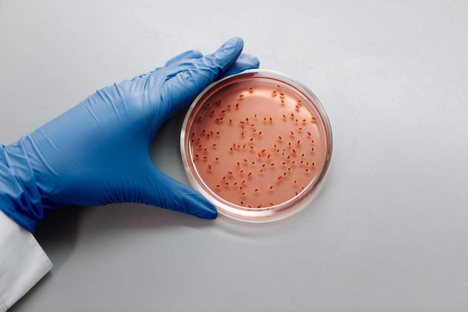 Germany Bio Ketones Market Innovation at the Intersection of Chemistry and Biotechnology