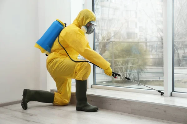 Pest Control Myths Debunked: Separating Fact from Fiction