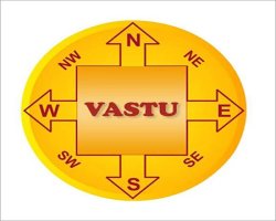 Shami Plant Benefits with True Vastu – Vastu Experts Guide