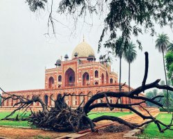 Golden Triangle Tour Package – Discover India’s Regal Heritage with Taj Voyages