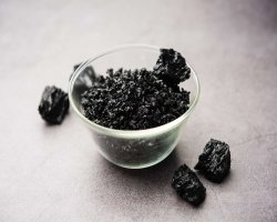 Adaptogens in Modern Medicine: What Doctors Should Know About Shilajit