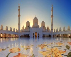 Morning Safari Dubai Brings Camel Rides and Sand Dunes