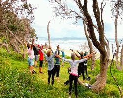 Yoga for Seniors: Safe and Effective Practices for All Ages
