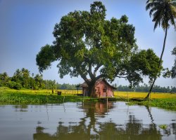 Kerala Family Packages – Enjoy Nature, Backwaters & Beaches