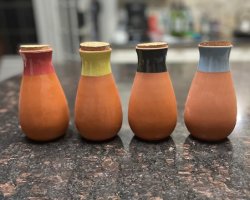 Transform Your Plant Care Routine with Terracotta Ollas