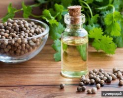 Where to Buy Authentic Cilantro Oil Online in the US: 2025 Shopping Guide