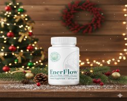 EnerFlow – Year-End Christmas Discount for Clean Energy & Daily Vitality