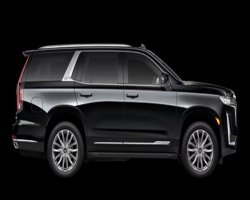 Austin Event Sprinter Van Rental | Luxury Group Event Transportation TX