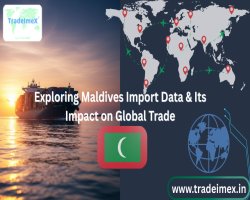 Exploring Maldives Import Data & Its Impact on Global Trade