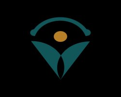 Transform Clinical Efficiency with Virtual Medical Scribe Services