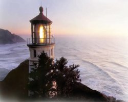 Advances in Medical Claim Audits