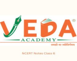 What Is NCERT Notes for Class 6 and Why Students Should Use Them