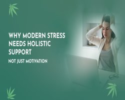 Why Modern Stress Needs Holistic Support — Not Just Motivation