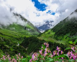 Valley of Flowers Best Time to Visit: Complete Travel Guide