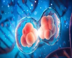 Neurovascular Integrity: Reclaiming Comfort During Winter Extremes