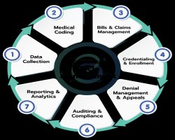 Maximize Your Revenue with Beeline Medical LLC's Expert Billing Solutions