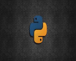 The Growing Demand for Python Developers in the Tech Industry