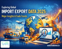 Exploring Global Import Export Data 2025: Major Insights & Trade Trends