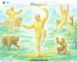 Wuqinxi Qigong: The Five Animal Frolics for Energy, Flexibility, and Longevity