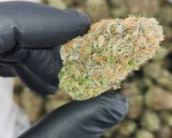 Buy Cannabis Online by Eighths & Ounces