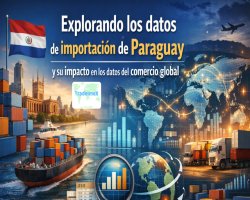 Explorando los datos de importación de Paraguay y su impacto en los datos del comercio global
